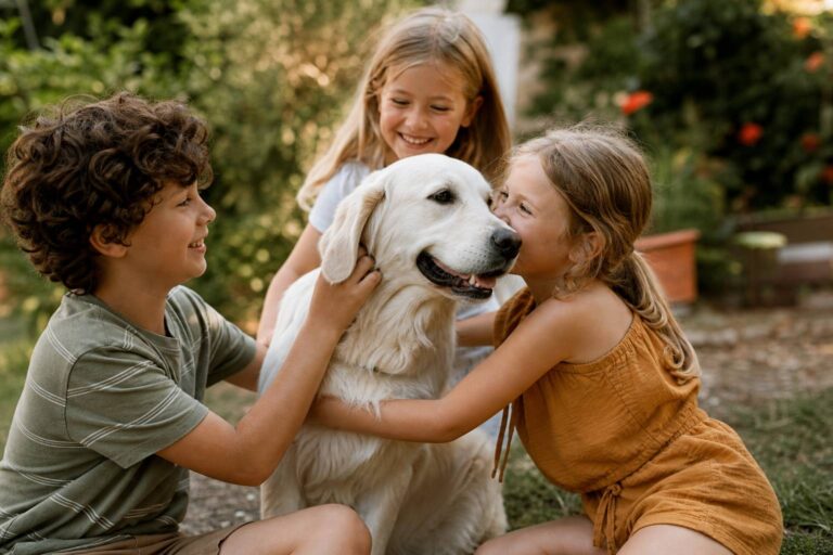 Chien pour famille : 12 races patientes avec les enfants
